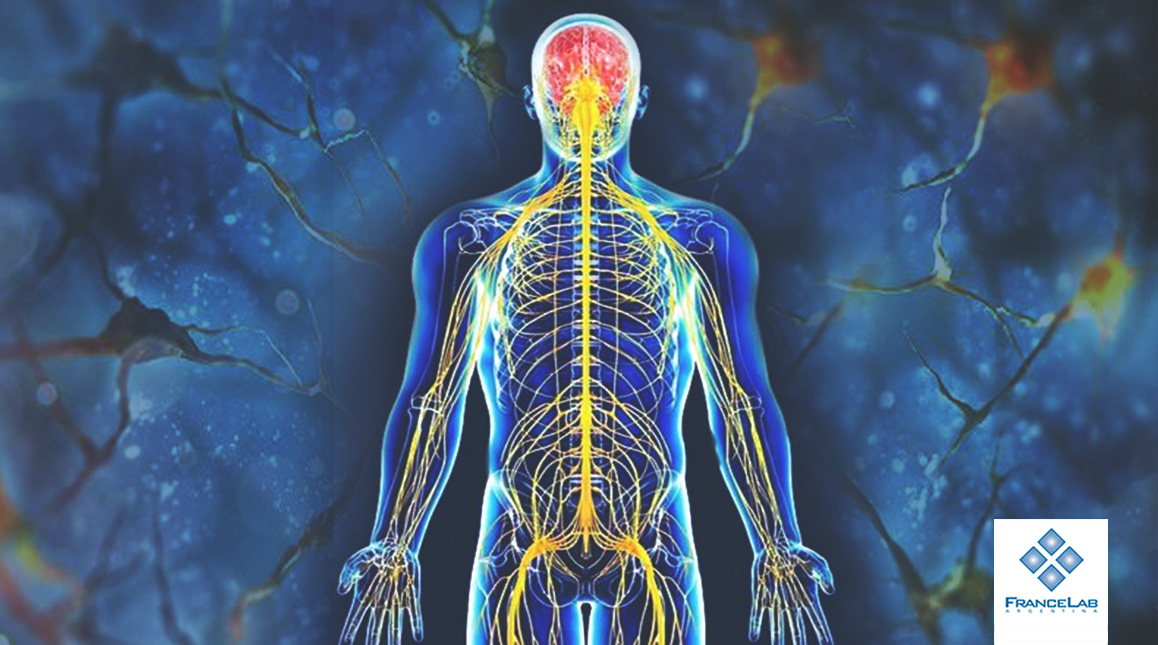 Neuropat as Y Diabetes FranceLab